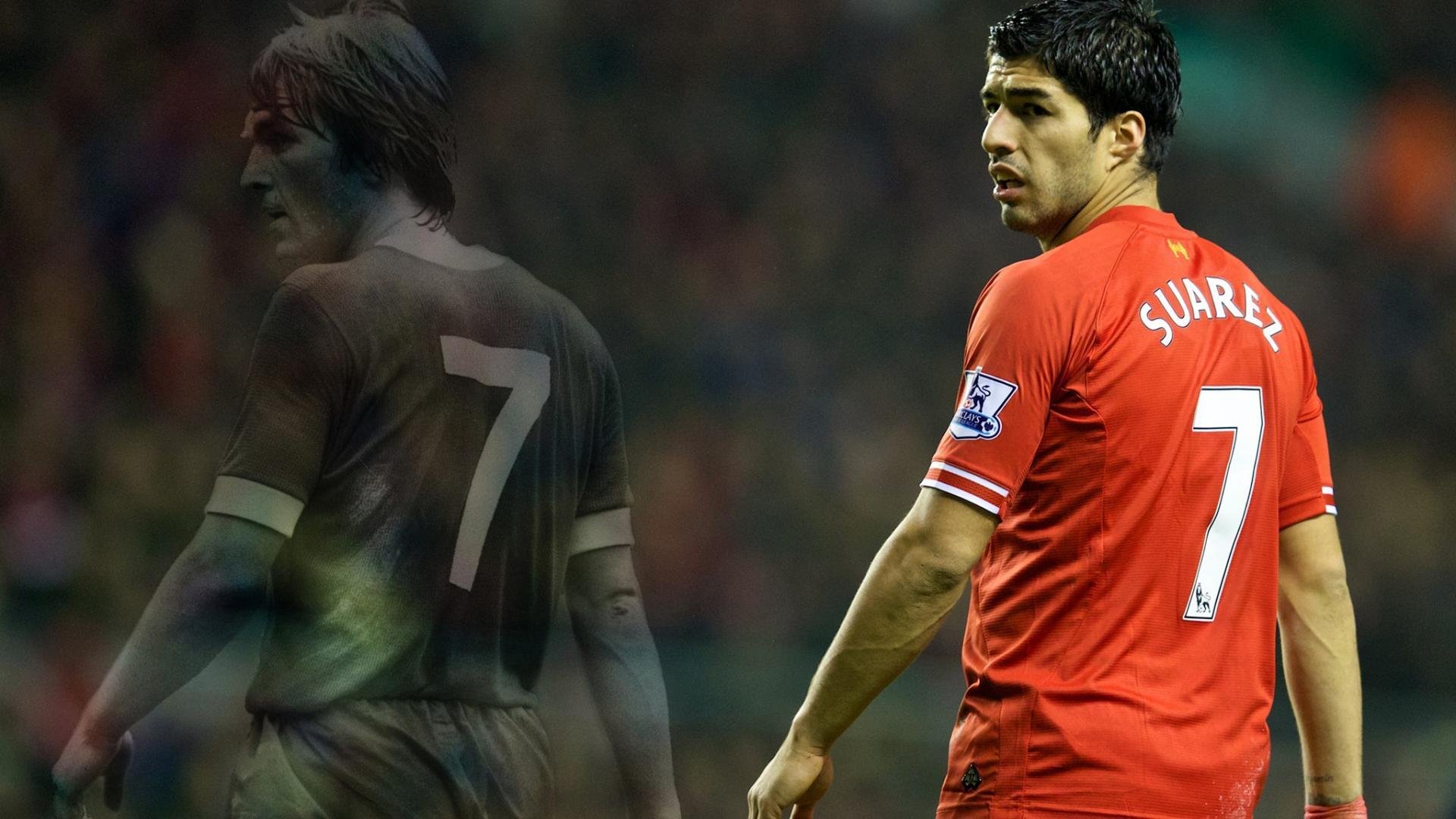 克罗地亚马术协会与非洲马术协会开展技术援助项目，提升当地水平。